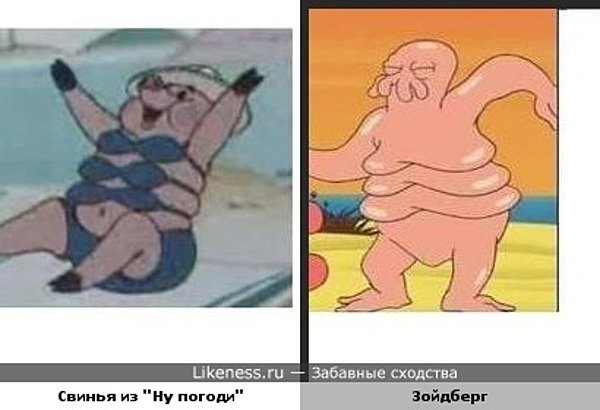 Свинья из ну погоди в купальнике
