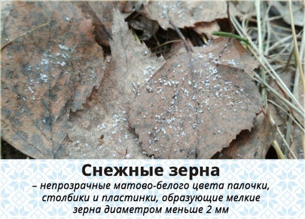 Снежные зерна