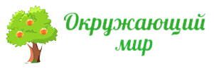Картинки с надписью окружающий мир (67 фото)