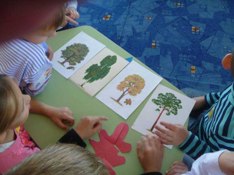 Игры по ознакомлению с окружающим миром. Занятие по экологии. Занятие по экологии в детском саду. Занятия по экологии в ДОУ. Экологические занятия в ДОУ.