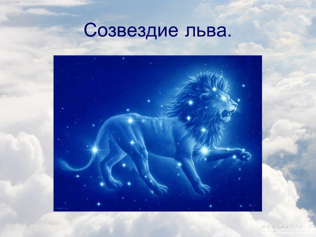 Созвездия льва на небе окружающий мир. Созвездие Льва. Зодиакальное Созвездие Лев. Созвездие Льва рисунок. Созвездие Льва на небе.