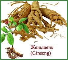 Красный женьшень для детей