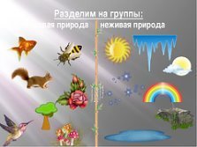 Живая и неживая природа для дошкольников