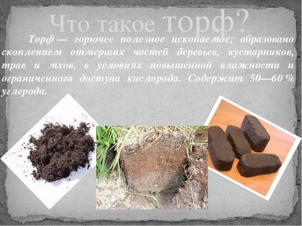 Информация о торфе
