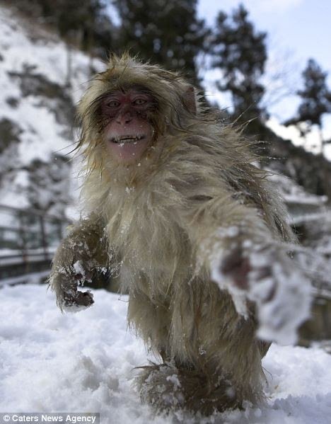 Прикольный снежный человек