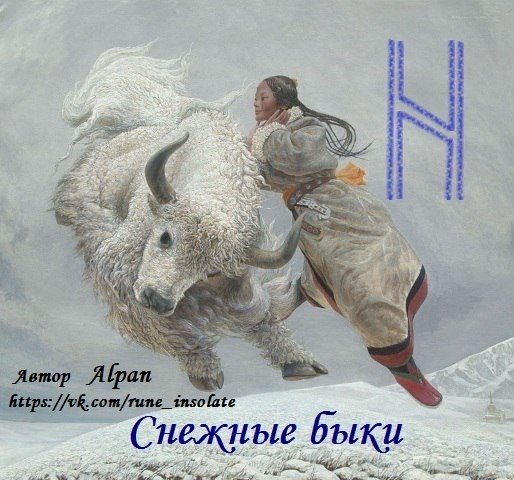 Снежные быки руны