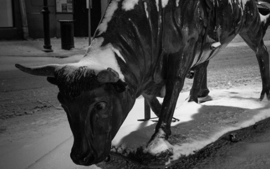 Снежный бык краткое содержание