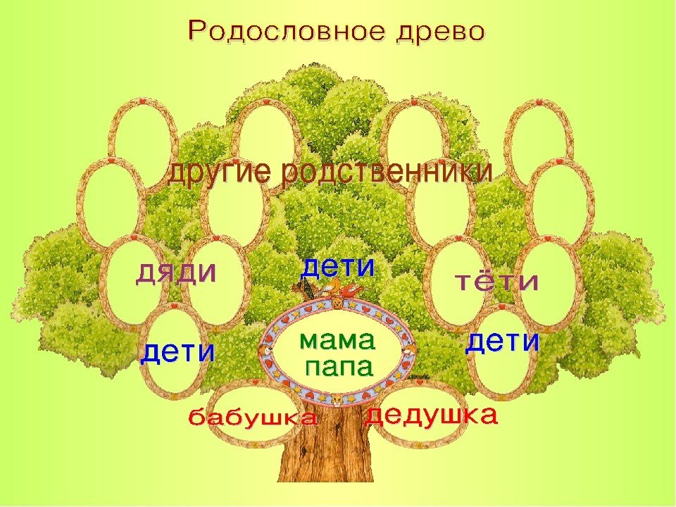 Окружающий мир 2 класс школа россии родословная. Родословное дерево семьи. Родословная моей семьи. Генеалогическое Древо моей семьи. Генеалогическое дерево для детей.