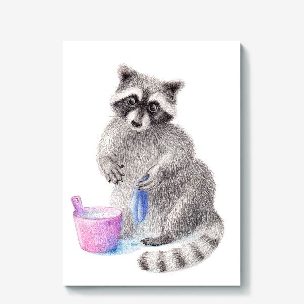 Енот стирка