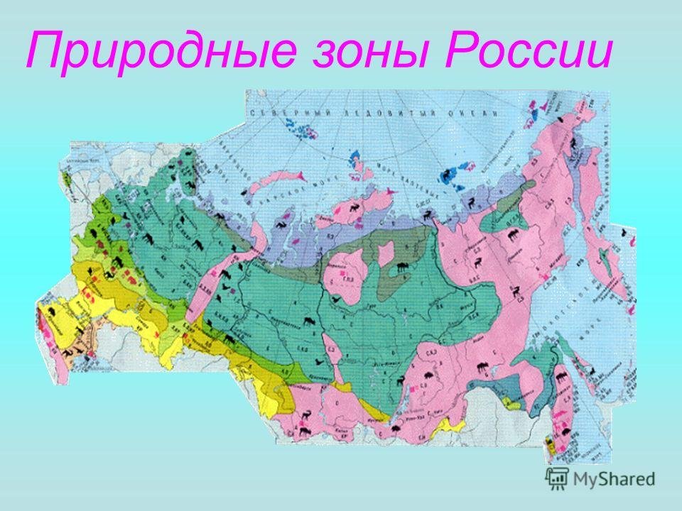 Цветом покажите природные зоны. Карта карта природных зон России. Карта природных зон России 4 класс окружающий. Природные зоны России на карте с названиями.