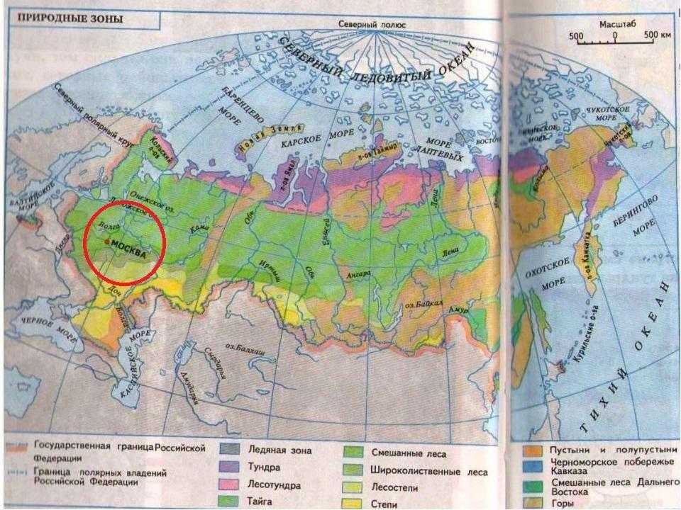 Укажите природную зону в которой можно встретить. Карта природные зоны России 4 класс окружающий мир карта. Карта природных зон России 8 класс география атлас. Атлас по географии природные зоны России.
