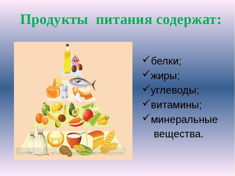 Продукты с витамином жиров. Наше питание презентация. Белки жиры углеводы витамины. Пища и питательные вещества. Питательные вещества витамины.