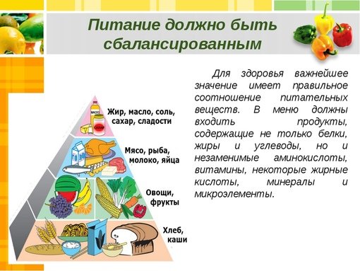Проект здоровое питание