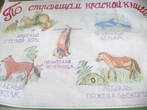 Стенгазета на тему животные красной книги