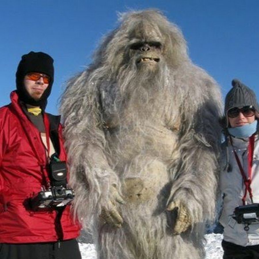 Что делает снежный человек. Йети Bigfoot. Етти снежный человек реальные. Йети в Гималаях.