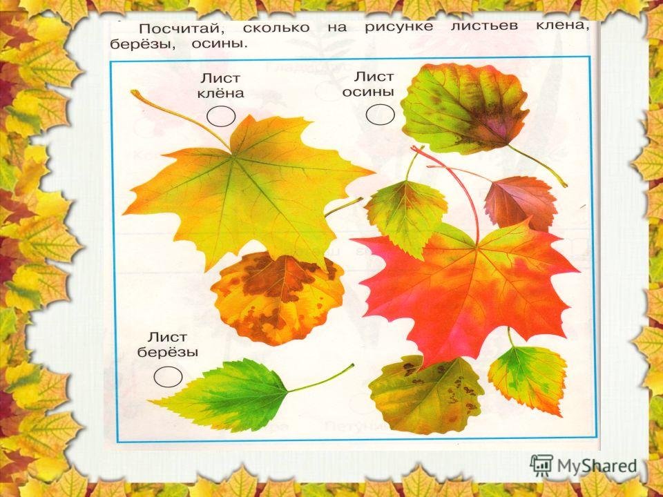Слова как листья на дереве. Листья разных деревьев. Листья 1 класс. Презентация осенние листья 1 класс. Листья деревьев 1 класс окружающий мир.