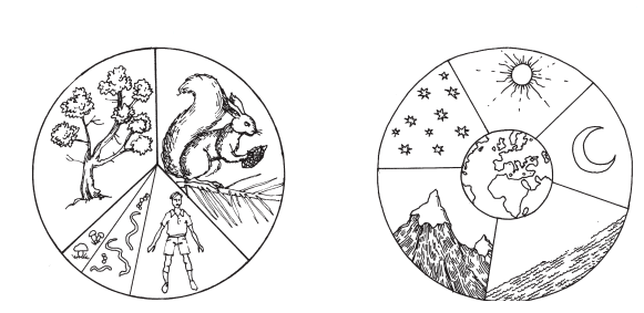 Раскраска окружающий мир