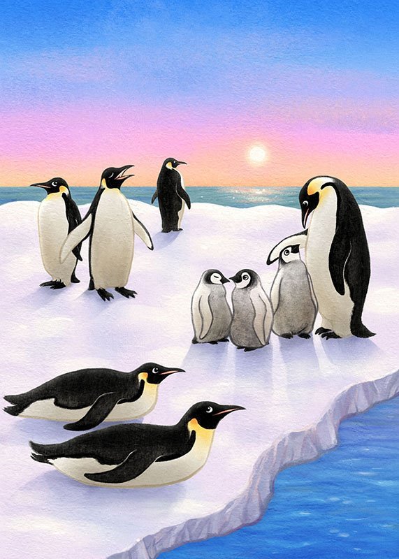 Про пингвинов снегирев занятие в старшей группе. Г Снегирев Пингвиний пляж. Г Снегирев про пингвинов иллюстрации. Иллюстрация к рассказу про пингвинов Снегирев. Снегирев Пингвиний пляж иллюстрации.