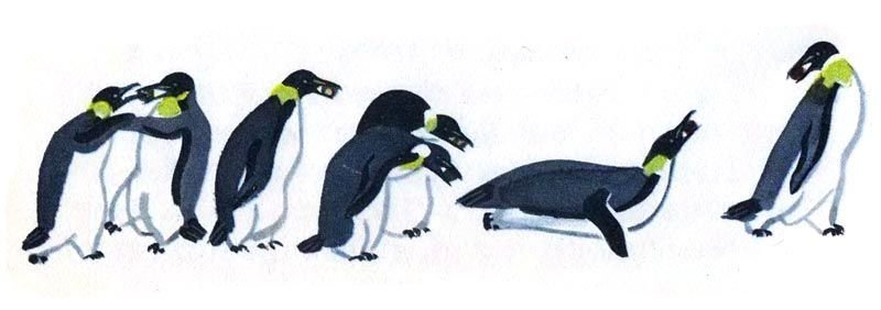 Пересказ рассказа про пингвинов старшая группа. Снегирев про пингвинов. Пингвиний пляж Снегирев. Г Снегирев про пингвинов иллюстрации.