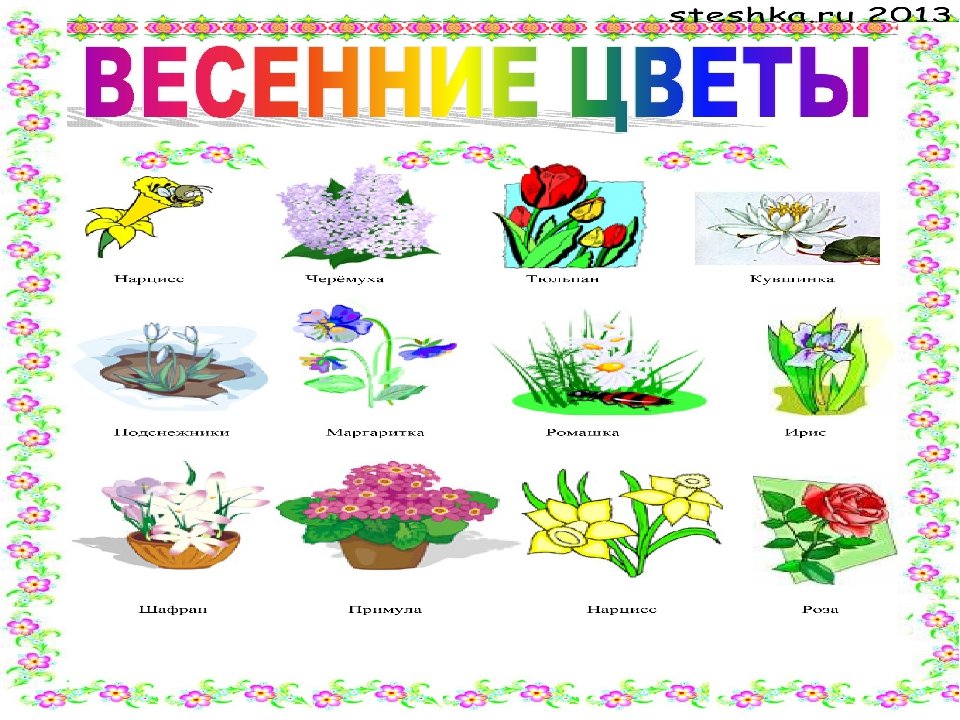 Весенние цветы для детей в детском саду. Цветы картинки для детей. Цветы названия для дошкольников. Названия цветов для дошкольников. Название цветов растений для детей.