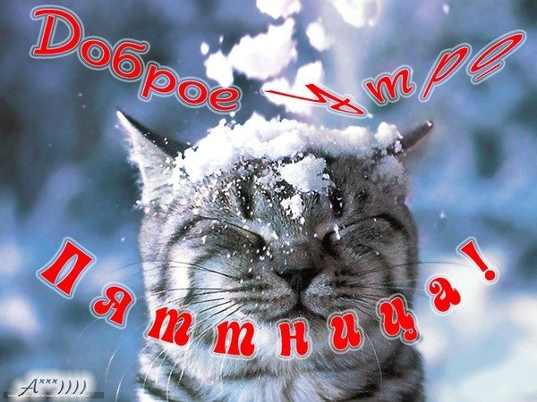 С добрым зимним утром пятницы