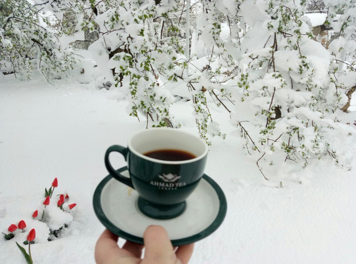 Добрым утром днем зимы картинки. Доброе утро зима. С добрым зимним утром. Открытки с добрым морозным утром. Доброе Снежное утро.