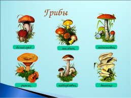 Тема грибы ягоды