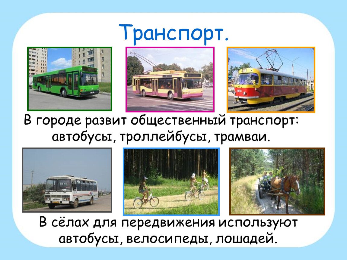 Виды общественного транспорта. Автобус троллейбус трамвай. Транспорт города и села. Транспорт в селе по окружающему миру. Транспорт город и село.