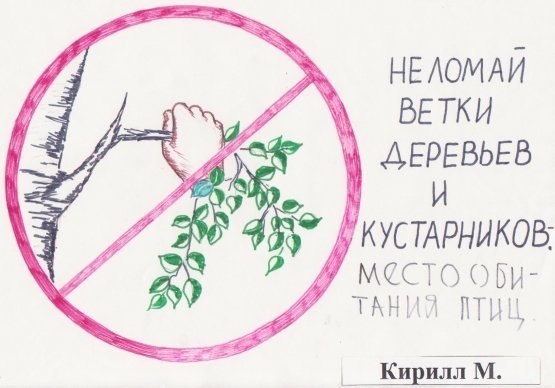 Плакат берегите растения
