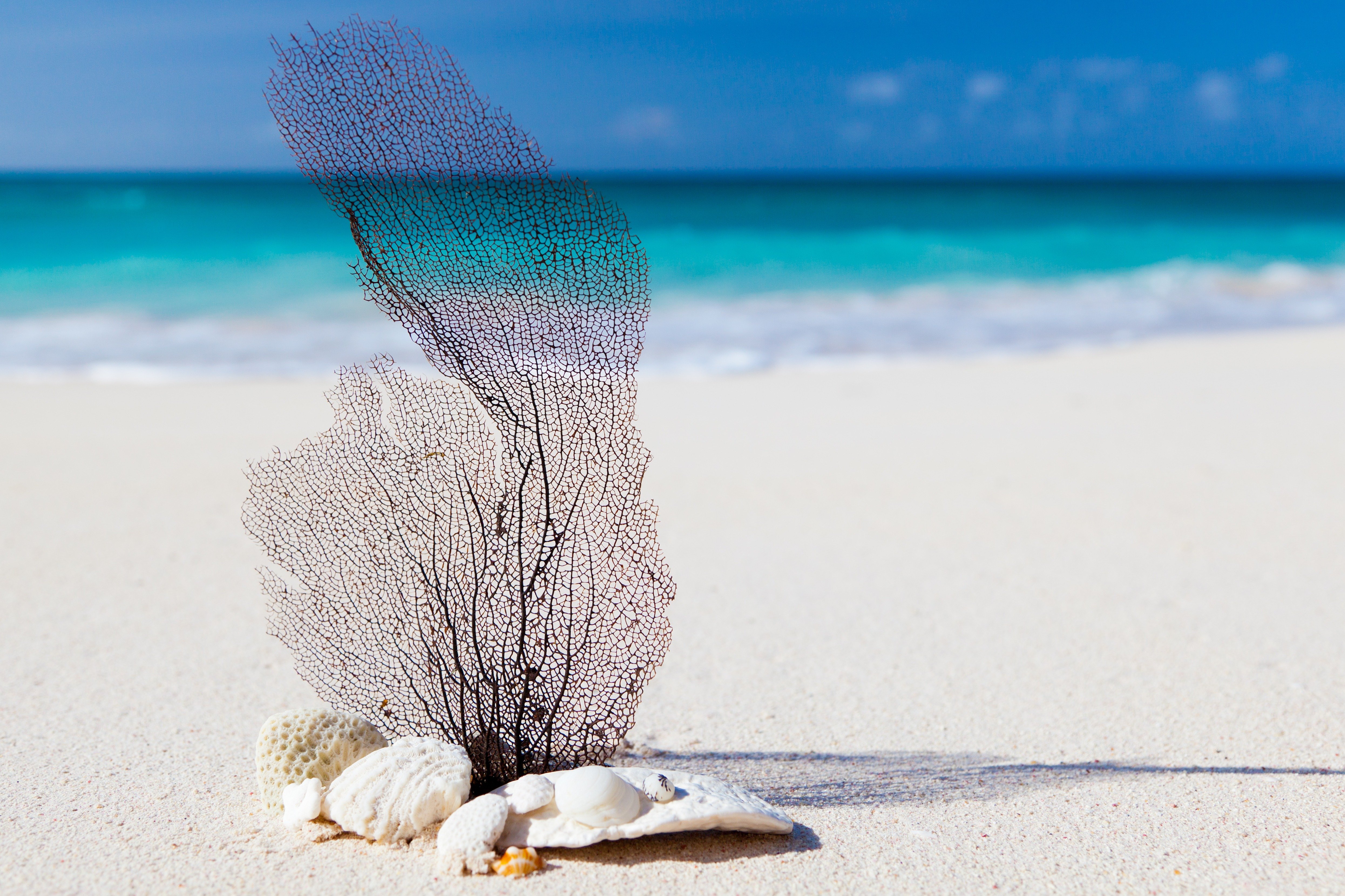 Картинки пляж белый песок океан (63 фото) » Картинки и статусы про окружающий мир вокруг