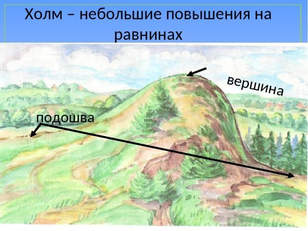 Холмы и овраги