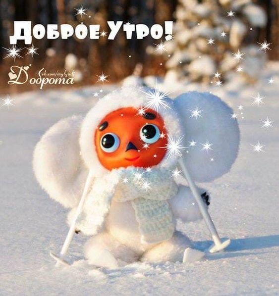 Доброе утро зимнее прикольное