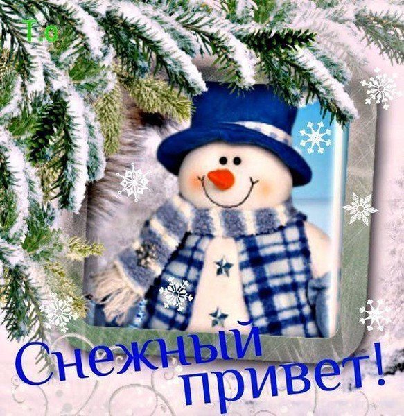 Зимний приветик