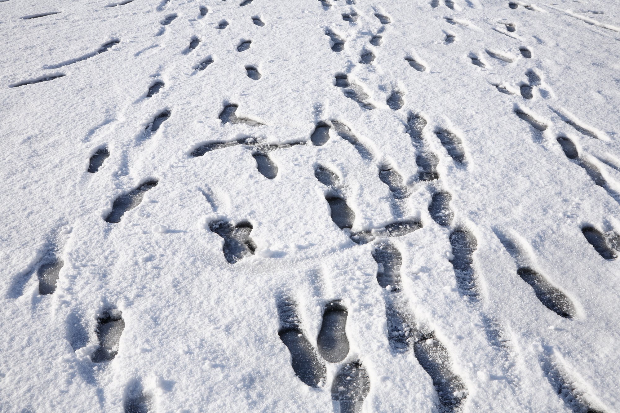След недели будет. Множество следов на снегу. Следы человека на снегу. Следы на снегу текстура. Детские следы на снегу.