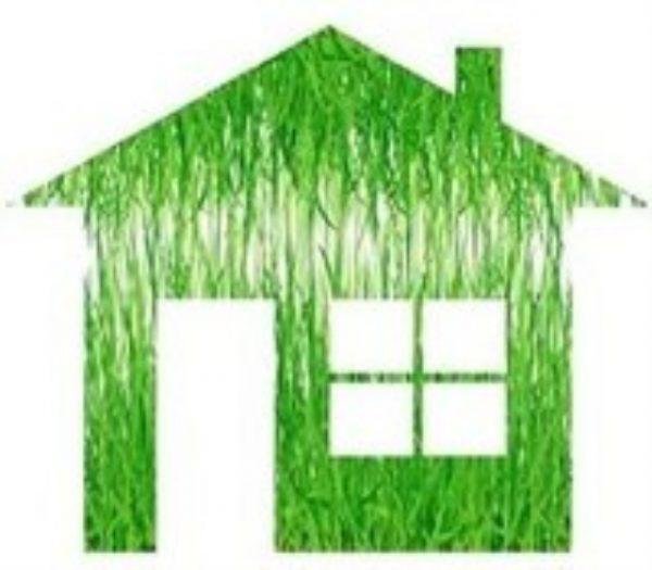 Наш зеленый дом