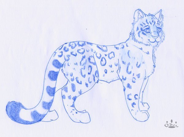 Снежный Барс рисунок для детей легко