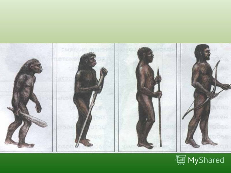Занятия древнейшего человека. Первобытные люди. Рисунок первого человека. Рисунок на тему древние люди.