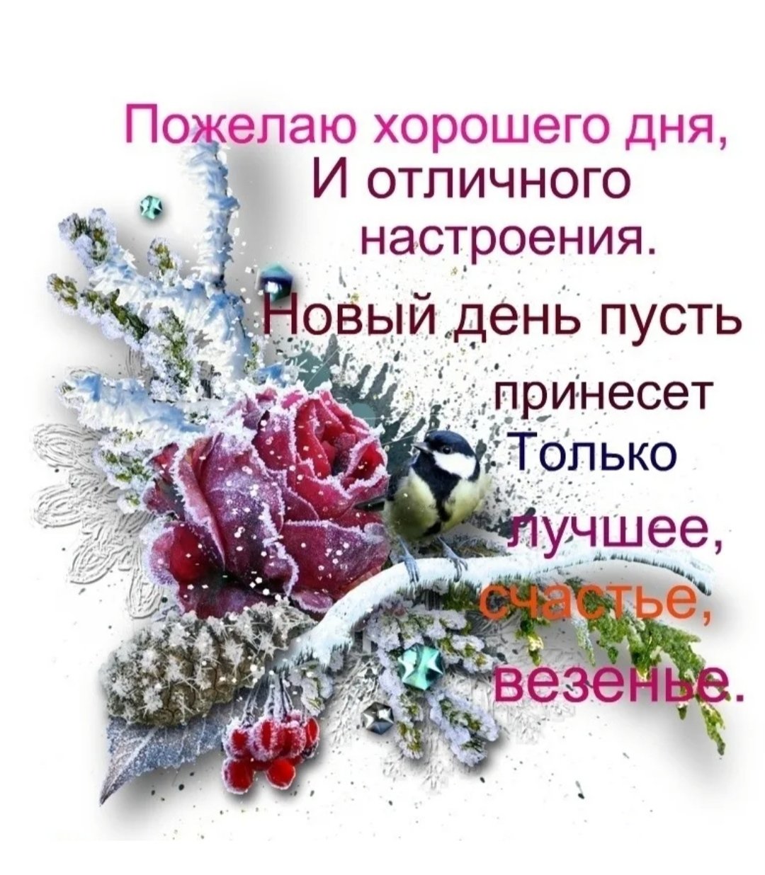 Замечательный зима. Цветы для хорошего зимнего настроения. Пожелания хорошего зимнего дня и отличного настроения. С добрым зимним днем и отличного настроения. Пожелания доброго зимнего дня.