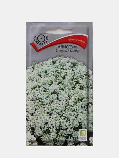 Алиссум белоснежный ковер