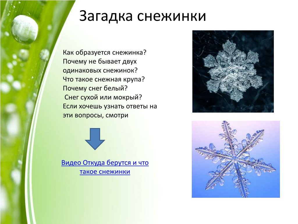 Почему снег становится липким. Загадка про снежинку. Загадка о снежинке для дошкольников. Загадки про снег и снежинки. Стих про снежинку.