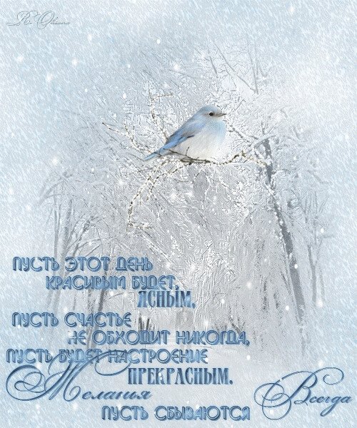 Пожелания со снегом