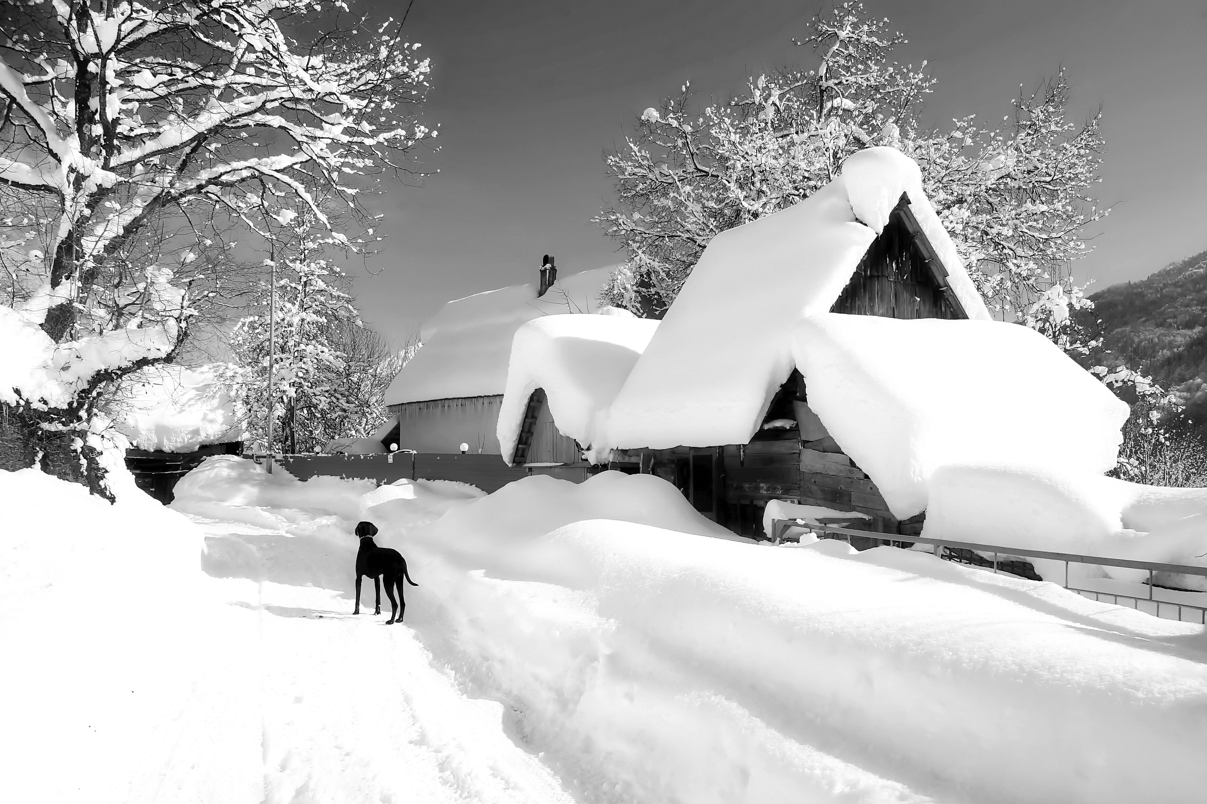 В окрестностях города местами еще лежит снег. Зимняя деревня. Деревня в снегу. Черно белая зима. Заснеженный домик.