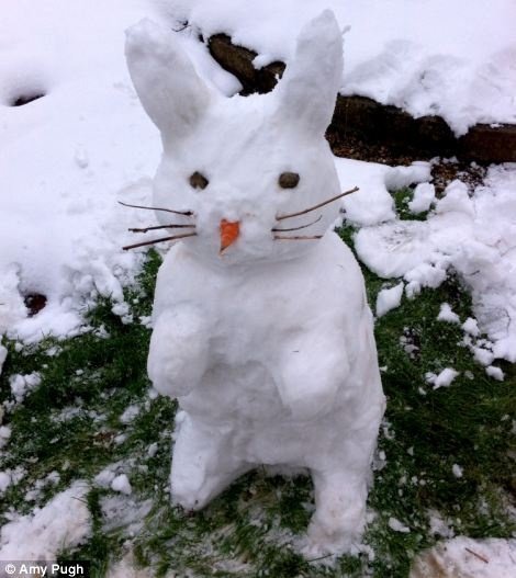 Юки Усаги снежный кролик