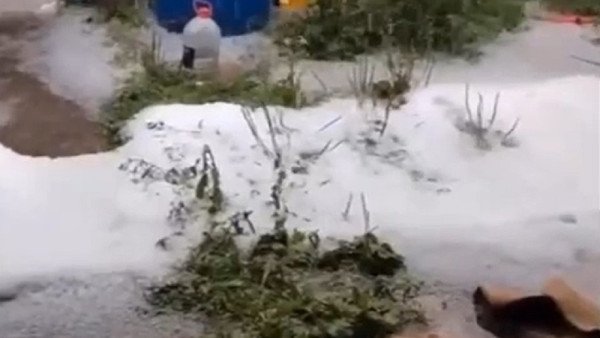 Картинки снежное сегодня (69 фото)