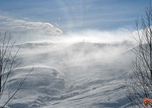 Буран природное явление
