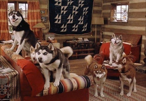 Снежные псы фильм 2002