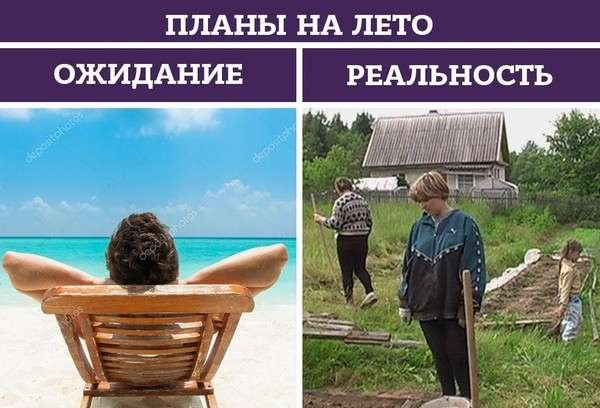Отпуск ожидание и реальность