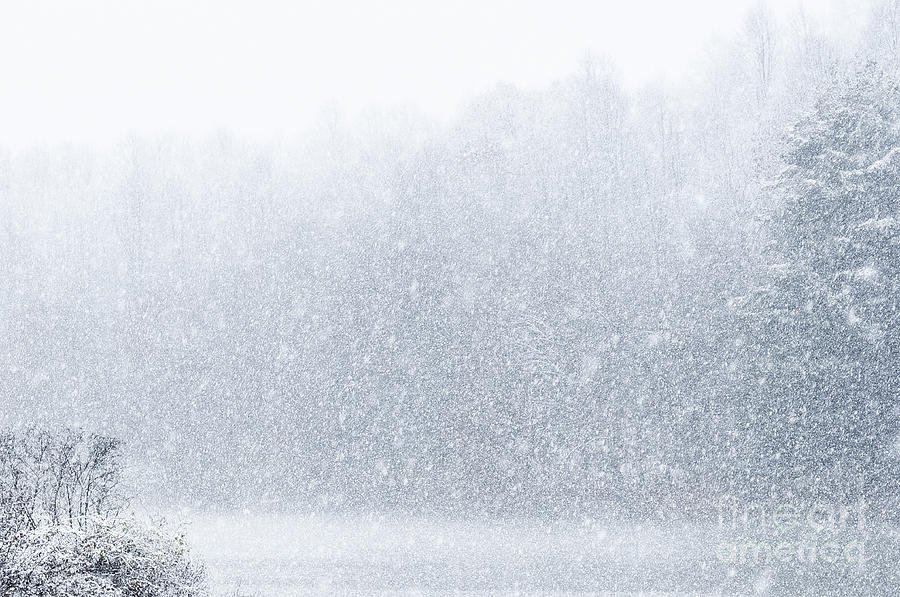 Снежная пелена. Снег метель. Снежная метель. Снегопад на белом фоне.