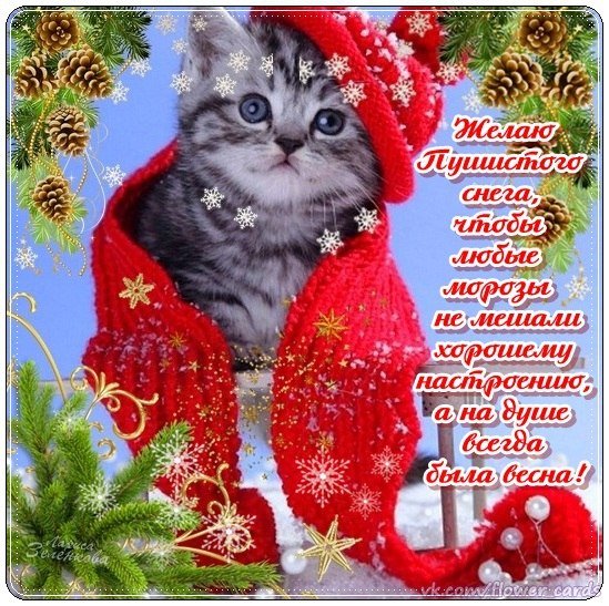 Теплый зимний привет