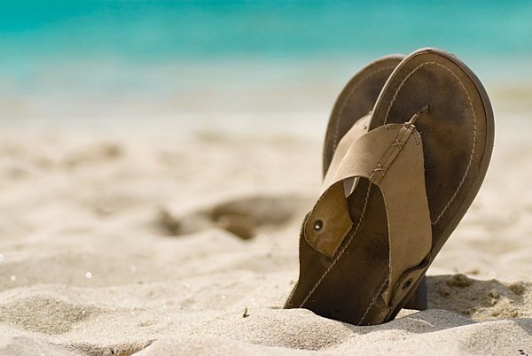 Сланцы на песке